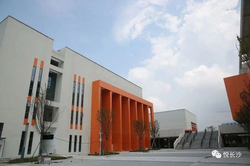 引入名校 長沙這個片區(qū)教育配套升級